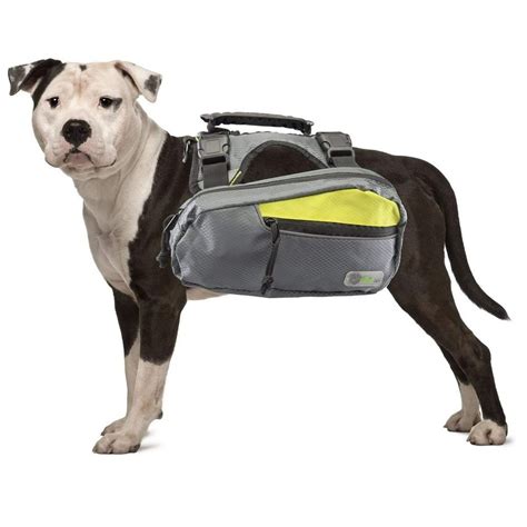 Go Fresh 2-in-1 Pet Dog Harness and Hiking Dog Backpack Outdoor Gear ...