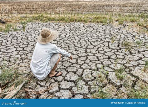 Sad Farmer is Sitting in a Agricultural Field during the Long Drought ...