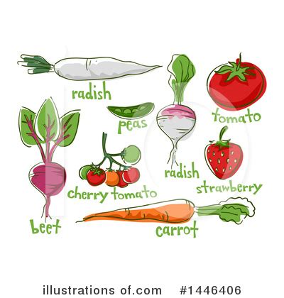 Beet Clipart #1172959 - Illustration by BNP Design Studio