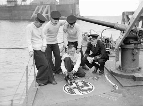 30 Surreal Historical Photos Of Military Animals In Action