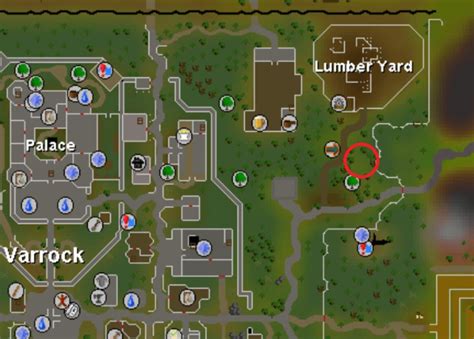 Kalphite OSRS Location Guide [2022]: The Best Guide! - Rune Fanatics