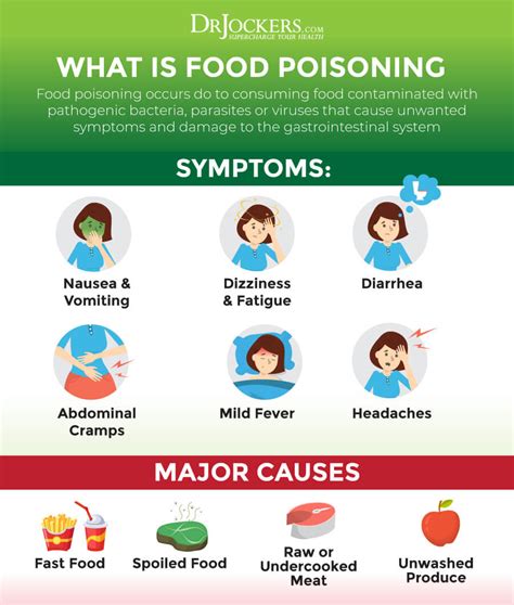 Food Poisoning: Causes, Symptoms & Support Strategies - DrJockers.com