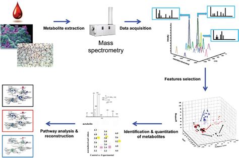 generic metabolomics workflow | Mass spectrometry, Data visualization ...