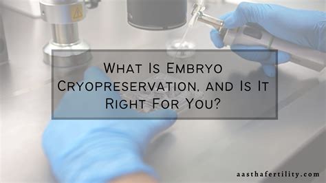 What Is Embryo Cryopreservation, and Is It Right For You? - Aastha ...