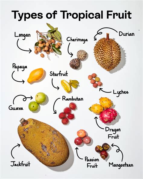 品揃え豊富で FRUiTS ecousarecycling.com