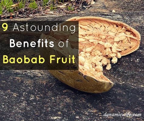 7 Wow Benefits of Baobab Fruit Powder + Interesting Facts!