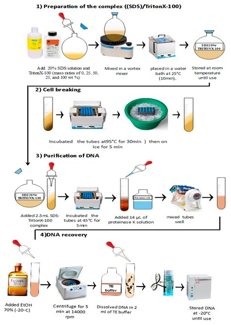 Dna Extraction Techniques