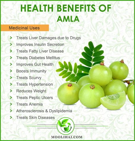 Health Benefits & Medicinal Uses of Amla - Moolihai.com