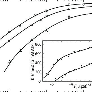 Kinesin velocity vs. ATP concentration under an external force. The ...