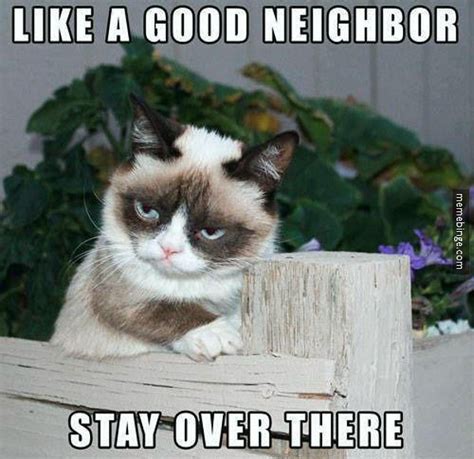 Grumpy Cat's twist on the State Farm motto | memebinge.com/l… | Flickr