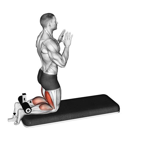 4 Effective Lying Leg Curl Alternatives For Hamstring Gains - Inspire US