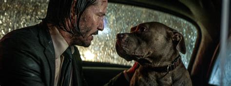 'John Wick' once killed off Keanu Reeves' puppy, but now it's a full-on ...