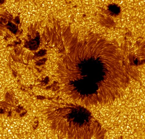 The Sun is About to Flip Its (Magnetic) Poles – Science World