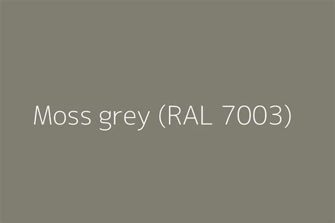 Moss grey (RAL 7003) Color HEX code