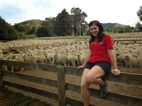 Caroline's Cues: Come to a New Zealand sheep farm. 'Ewe' wouldn't ...