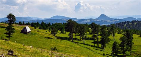 Explore Zlatibor - Serbia's Unspoiled Mountain Jewel