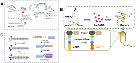 Biosensors | Free Full-Text | Recent Advances in Colorimetric Sensors ...