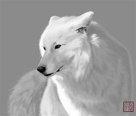 White Wolf by Uchiha-Harumi on DeviantArt