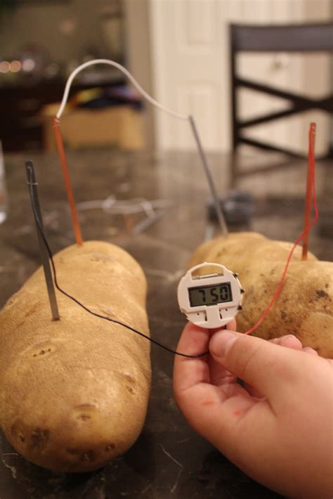 OC Mom Activities: Potato Powered Clock as Science Fair Project - # ...