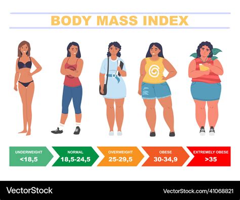 Bmi for women body mass index chart based Vector Image