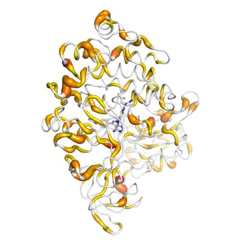 HCK Gene - Somatic Mutations in Cancer