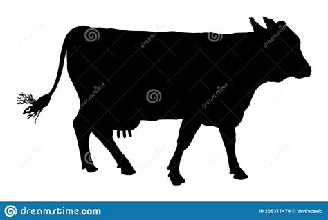 Cow Vector Silhouette Illustration Isolated On White Background. Cow ...