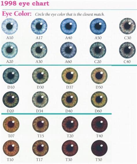 Best 25+ Eye color charts ideas on Pinterest | Baby eye color chart ...