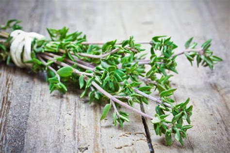 Naturopathic Kitchen: The Health Benefits of Thyme | AANMC