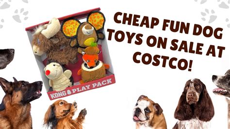 Costco Dog Toys Kong | Wow Blog