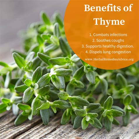 Thyme Herbal Remedies