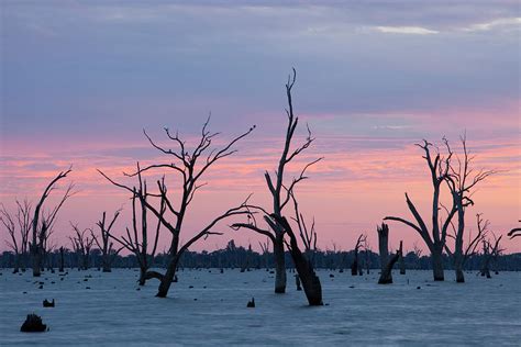 Lake Mulwala At Yarrawonga Was Created Photograph by Ashley Cooper | Pixels