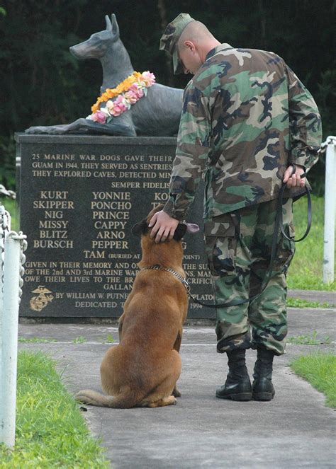 This Veterans Day, don't just honor the men and women who serve. Honor ...