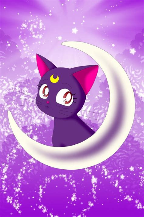 Pin by Ann Hopkins on Sailor Moon | Sailor moon cat, Sailor moon ...