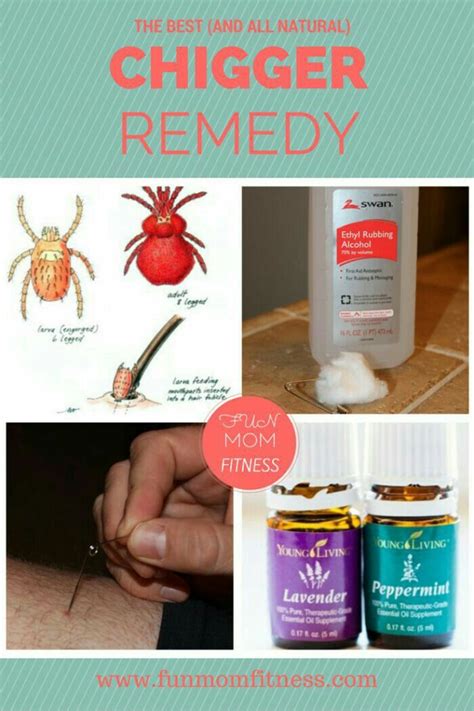 Pin by Lisa Zink on Essential Oil Remedies | Essential oil recipes ...