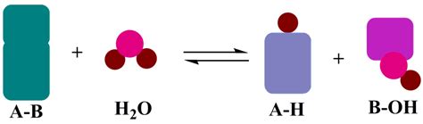 Hydrolase Introduction - Creative Enzymes