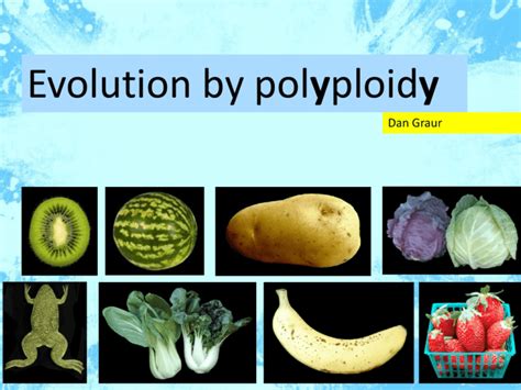 Polyploidy