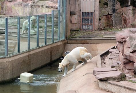 ZOO Nuremberg