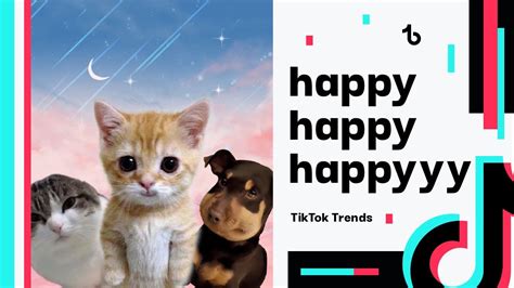 Chuột may Tik Tok: Những Meme Hài Hước và Dễ Thương (Click để xem ngay ...