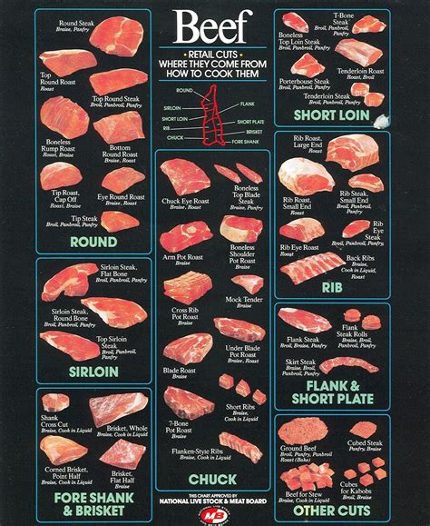 BEEF CUTS (Courtesy of the Certified Angus Beef® brand) Beef is divided ...