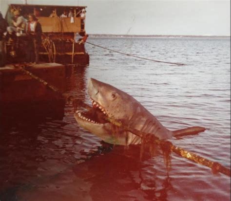 Jaws 2 Behind The Scenes