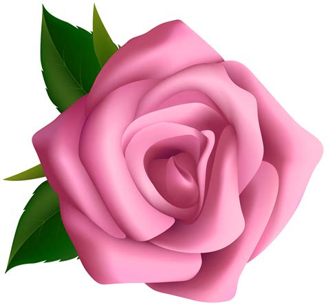 Large pink rose clipart blumen pink roses clip cliparting - Clipartix