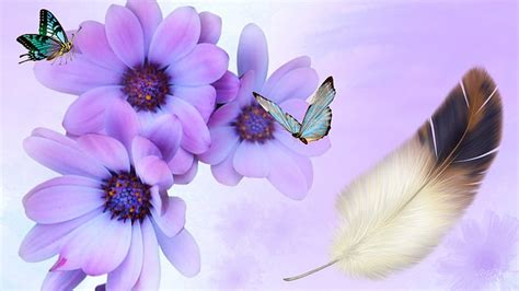 Wonder of Lavender, lilac, firefox persona, butterflies, spring ...