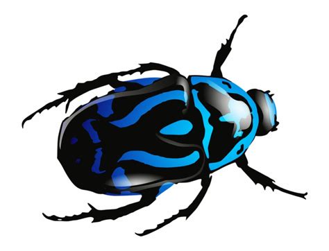 beetle clip art 20 free Cliparts | Download images on Clipground 2024