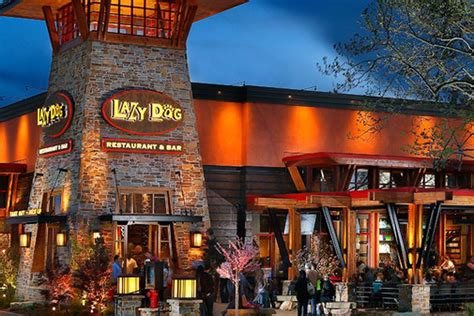 Updating the Lazy Dog Restaurant & Bar Coming to Town Square - Eater Vegas