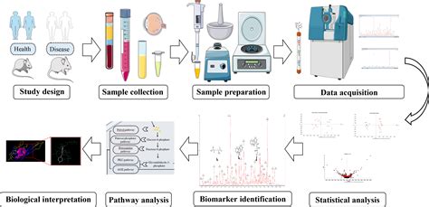 Frontiers | Metabolomics of various samples advancing biomarker ...