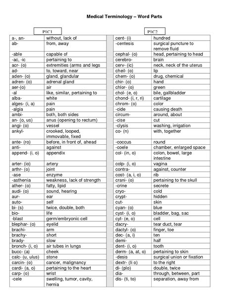 Medical Terminology Flash Cards | ... medical terminology flash cards ...