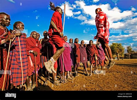 Maasai Warrior jumping dance Leap into the air to demonstrate strength ...