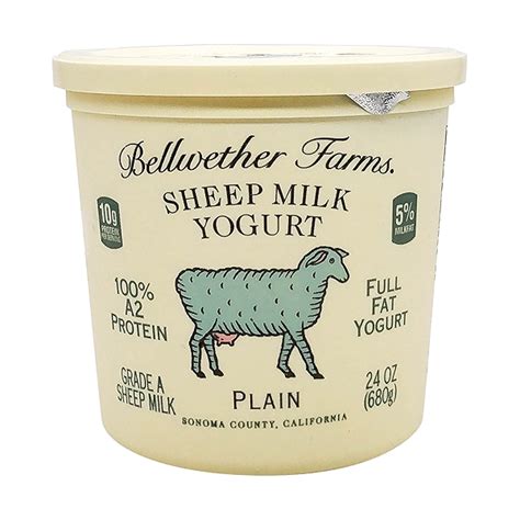 Plain Sheep Milk Yogurt, 24 oz at Whole Foods Market