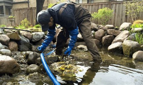 Sydney pond maintenance cleaning service