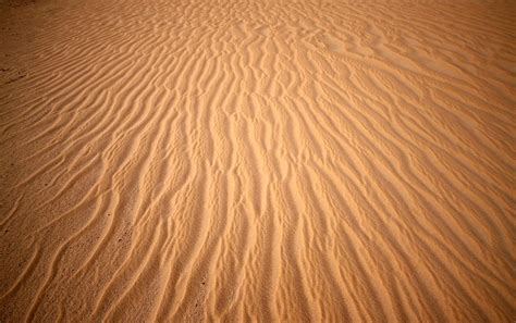 Sand roads in the desert in Egypt Photograph by Jaro Nerad | Fine Art ...